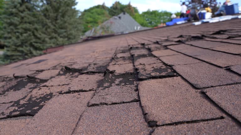 Best Sheet Metal Roofing  in Hazlehurst, GA